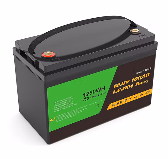 Batteria al litio 12V 24V 100ah 200ah 300ah 50ah 12V/24V LiFePO4 Batterie zum Solarfabrikpreis