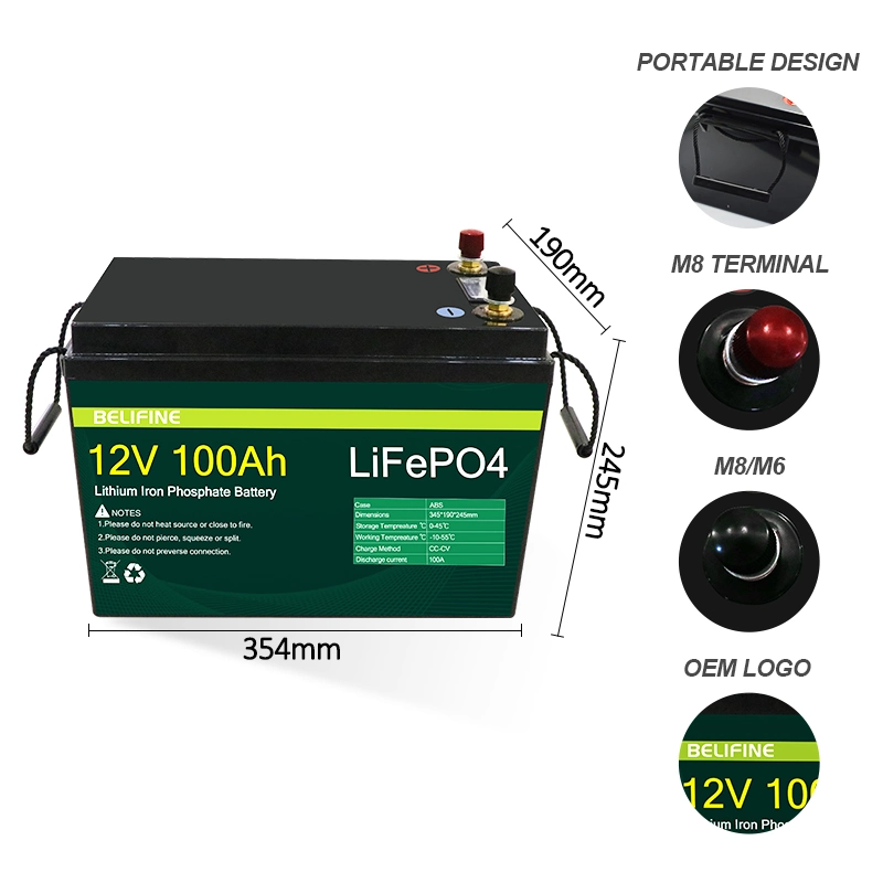 Promotion Price Deep Cycle Rechargeable Lithium Ion Battery 12V LiFePO4 Battery 100ah