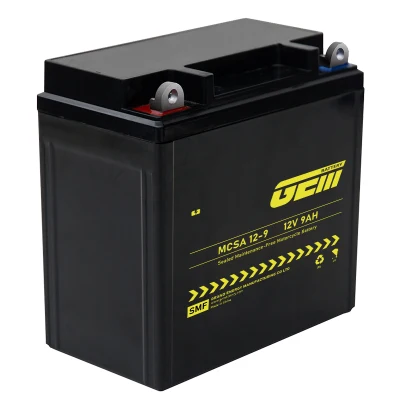 Batteria al gel per motociclette Batteria AGM VRLA a ciclo profondo da 12 V 7 Ah e 9 Ah/Batterie al piombo sigillate Batteria ricaricabile e senza manutenzione